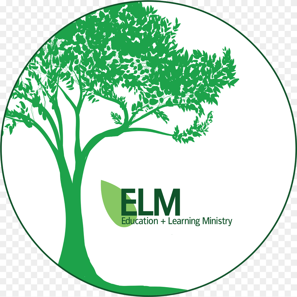A New Education Initiative Is Starting Soon At Elmwood Deine Worte Bleiben Roman Book, Herbs, Tree, Plant, Green Free Png