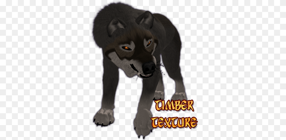 A New Feature For The Dire Is An Auto Pupil Dilation Wolf, Animal, Bear, Mammal, Wildlife Free Png Download