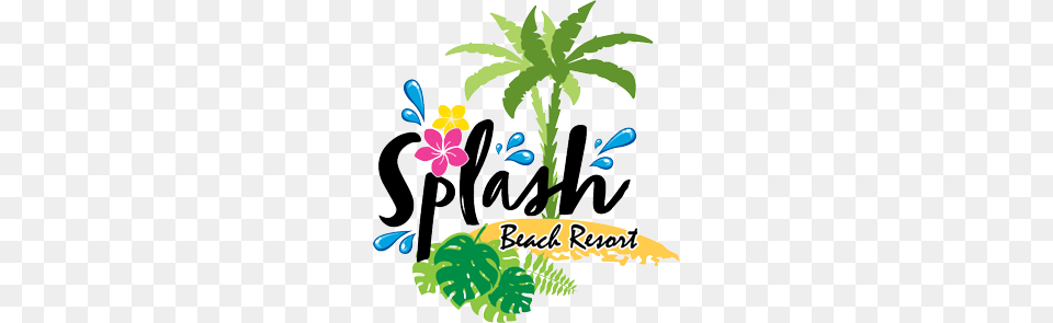 A New Holiday Destination In Phuket Splash Beach Resort, Herbal, Herbs, Leaf, Plant Free Transparent Png