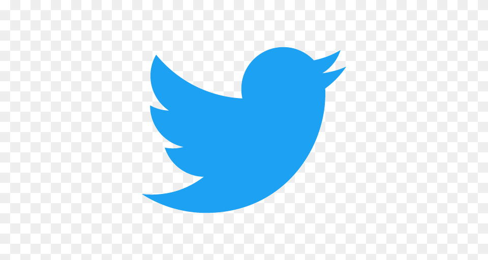 A New Twitter Account Follow Us, Logo, Animal, Fish, Sea Life Png Image