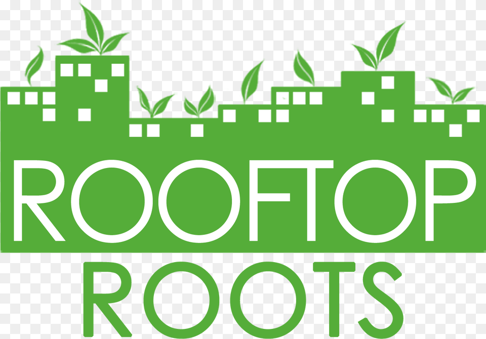 A Nonprofit Farms Rooftops Of Nations Capital With, Green, Herbal, Herbs, Plant Free Png