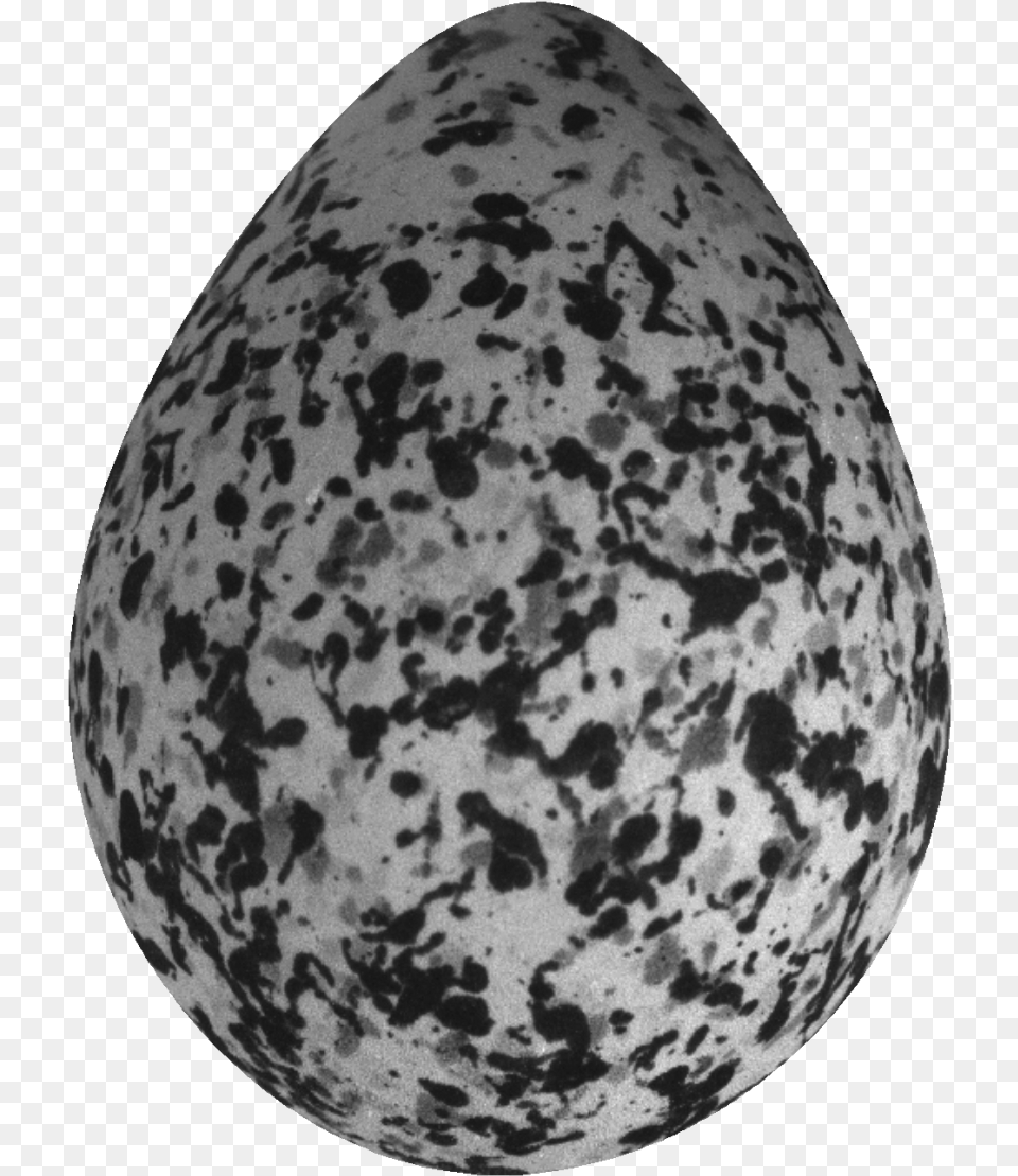 A Normal Plover Egg Fruit, Nature, Night, Outdoors, Astronomy Png