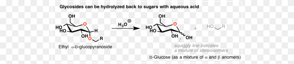 A Particularly Important Type Of Glycoside Are Those Sinigrin, Text Free Transparent Png