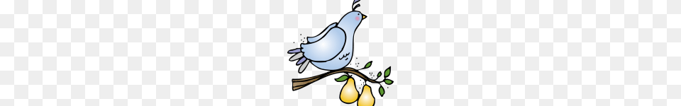 A Partridge In A Pear Tree Clip Art Archives, Animal, Bird, Pigeon, Dove Png