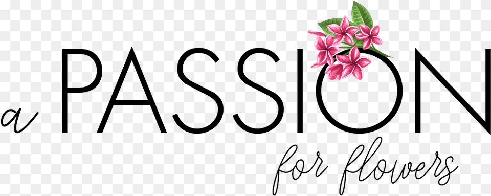 A Passion For Flowers Rosa Glauca, Flower, Petal, Plant, Geranium Free Png Download
