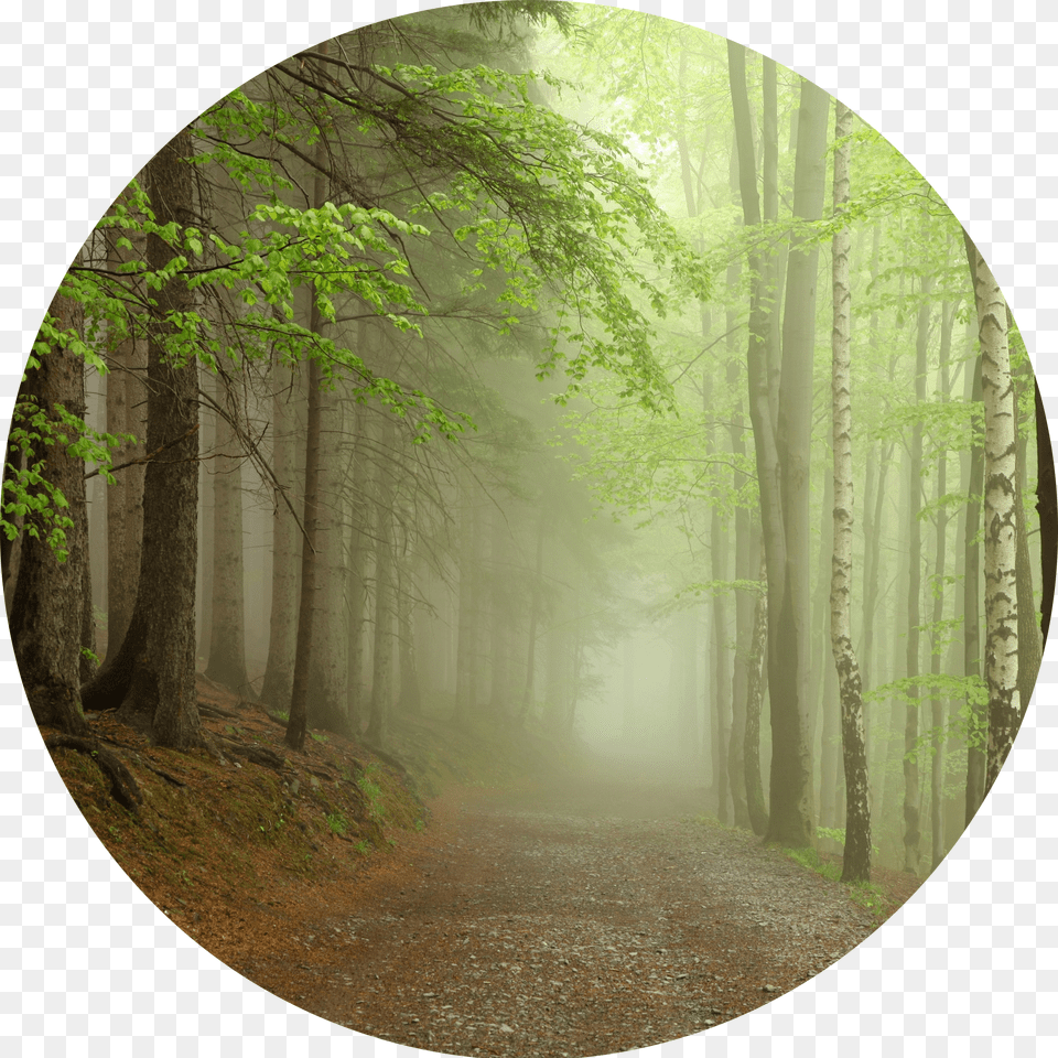 A Pathfinder Retreat Coming Fall Free Transparent Png