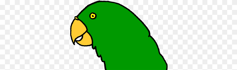 A Perfect World, Animal, Beak, Bird, Parakeet Free Transparent Png