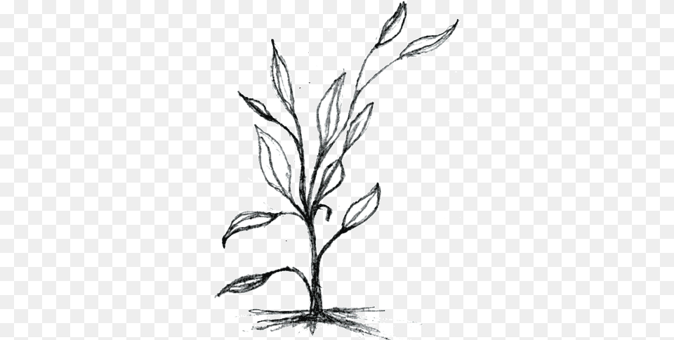 A Perfect World, Art, Drawing, Plant Png Image