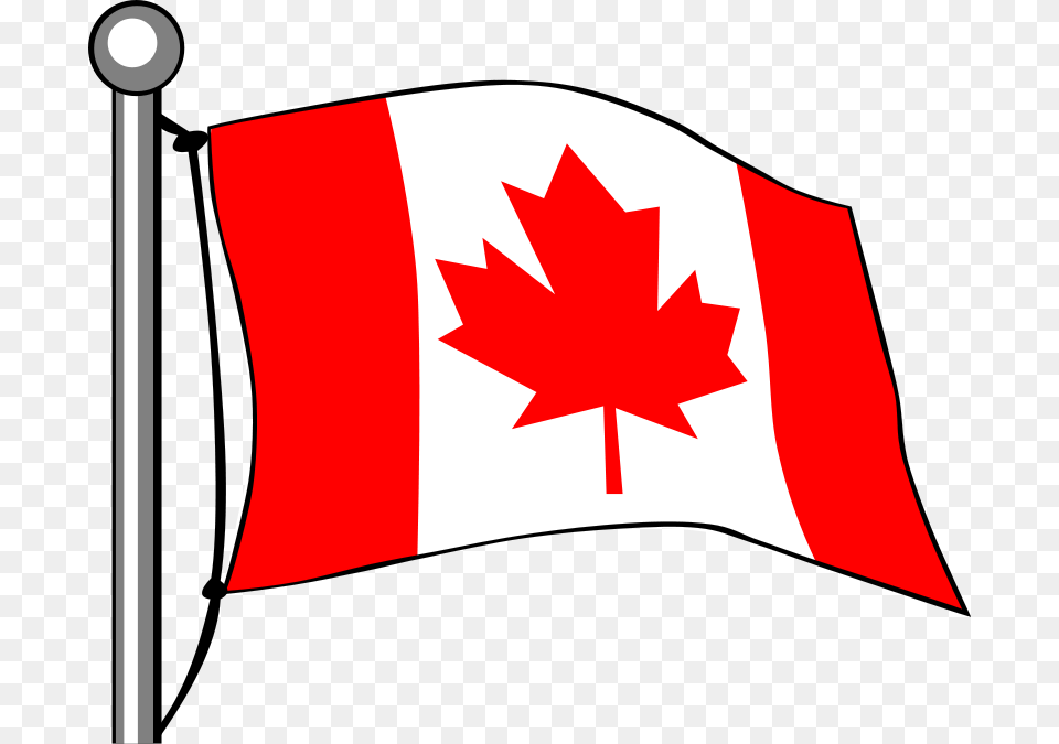 A Perfect World, Leaf, Plant, First Aid, Flag Png Image