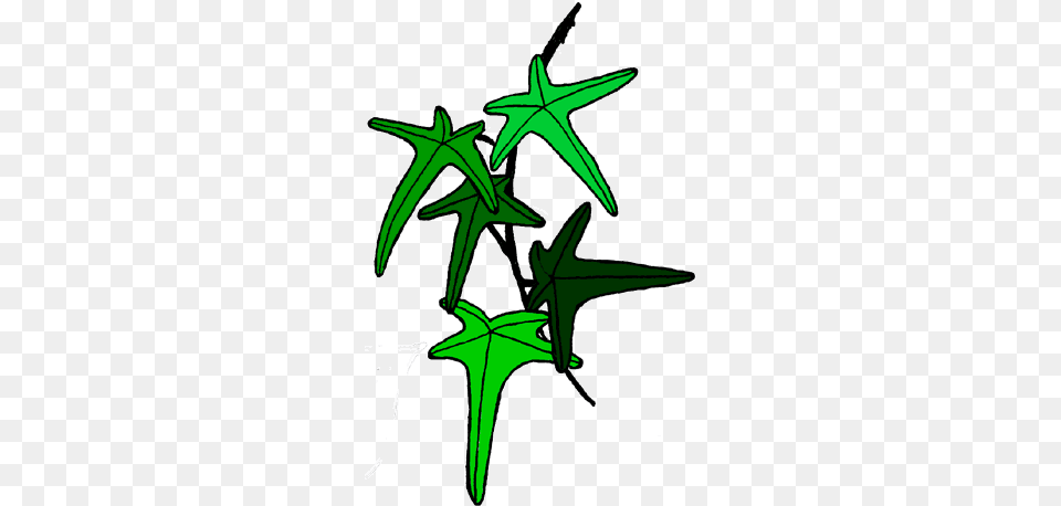 A Perfect World, Leaf, Plant, Symbol, Star Symbol Png Image