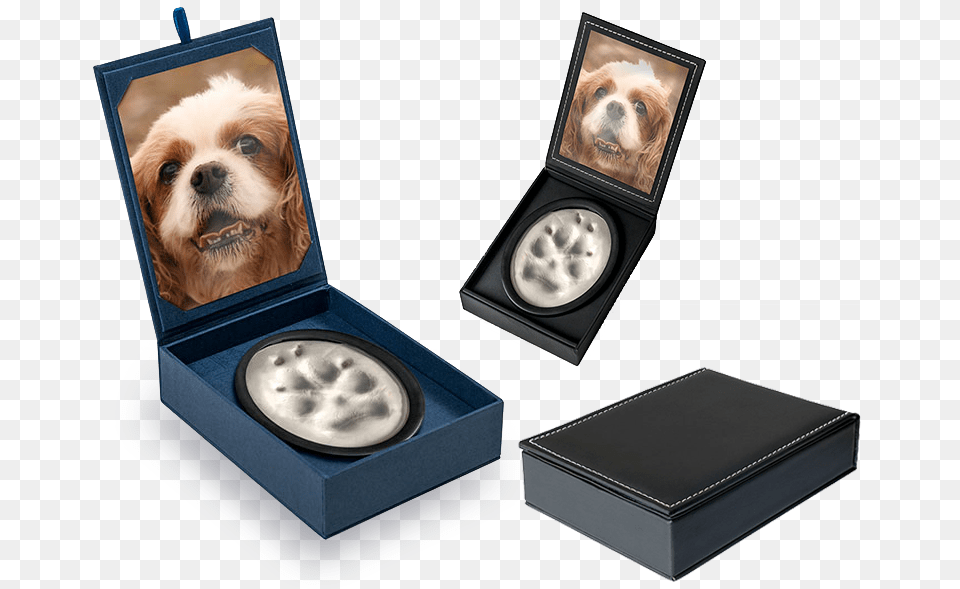 A Permanent Reminder Of Your Pet S Paw Print Your Pet39s Paw Print, Animal, Canine, Dog, Mammal Png Image