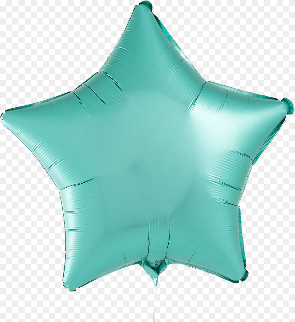 A Photograph Of Jade Green Foil Star Balloon Cushion, Turquoise, Animal, Sea Life, Fish Png