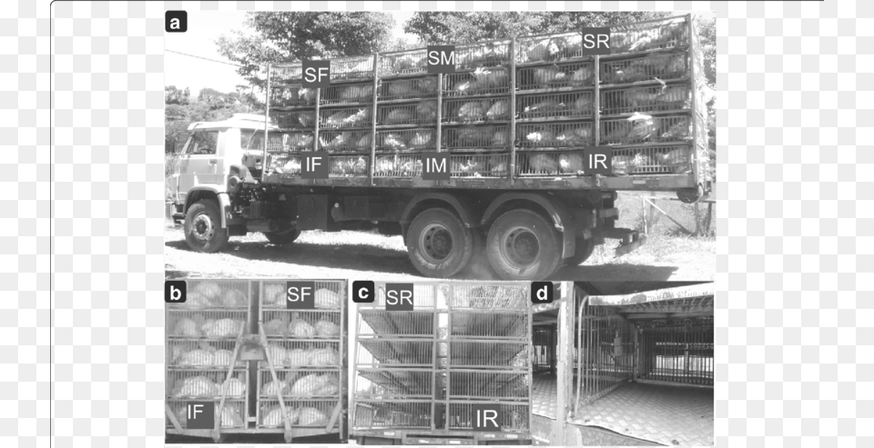 A Photograph Of The Truck Container Side Loaded With Common Fig, Transportation, Vehicle, Machine, Wheel Png