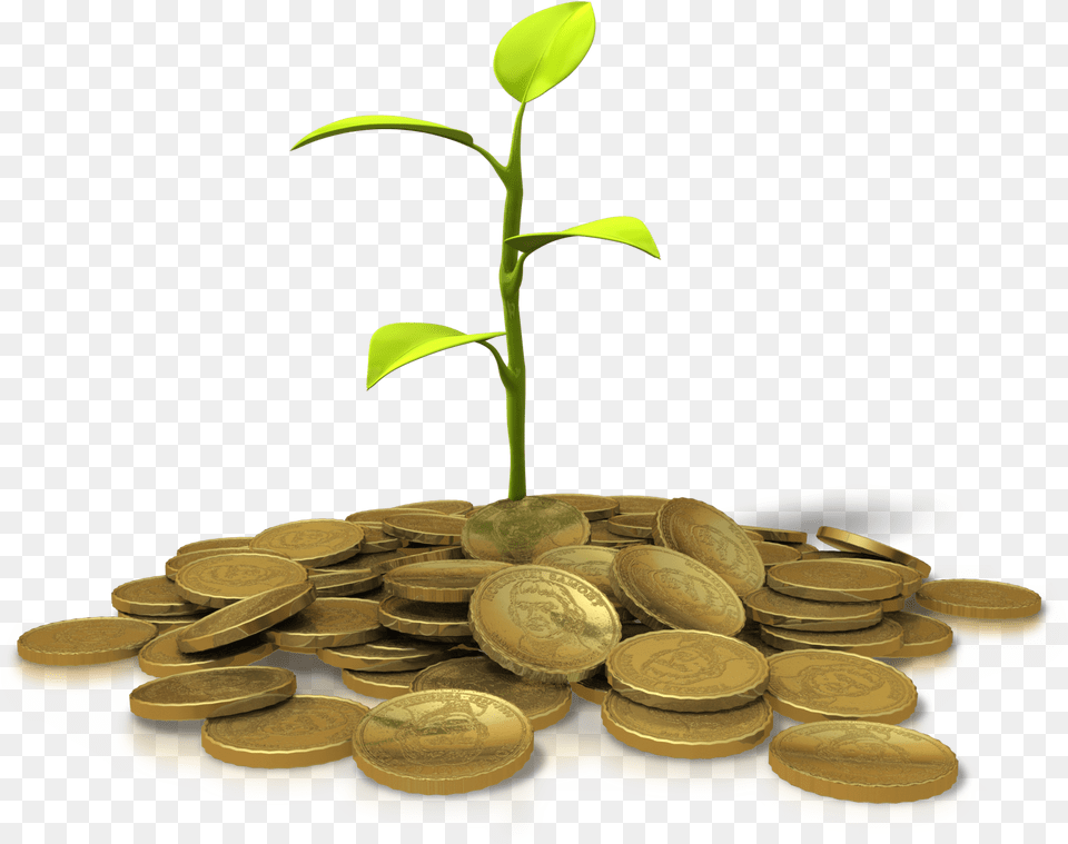 A Plant Growing From A Pile Of Gold Coins Invest, Coin, Money Free Transparent Png