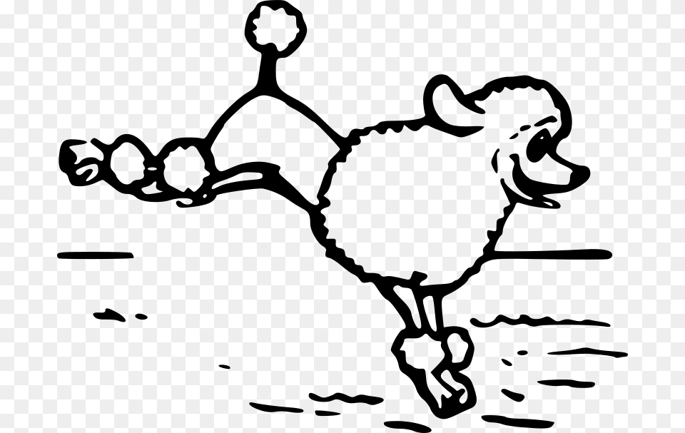 A Poodle Poodle Jump Outline, Gray Free Png Download