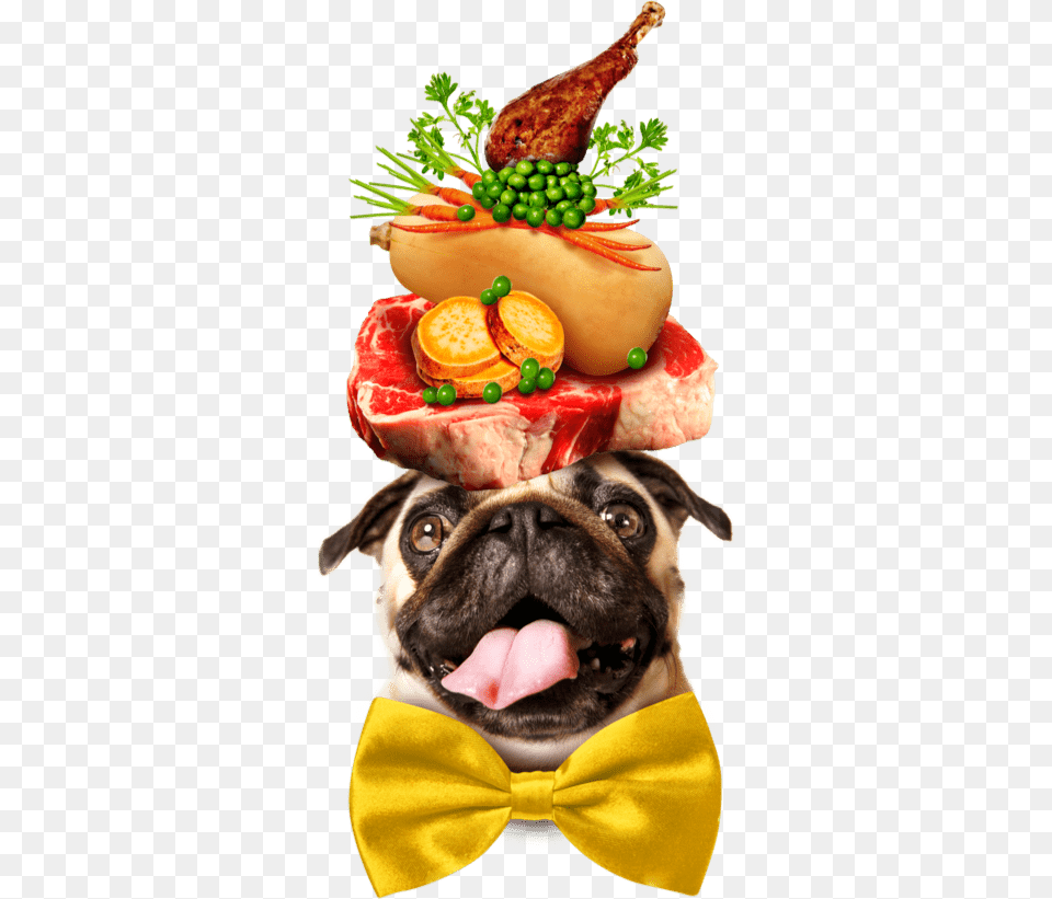 A Pug Dog Wearing A Large Yellow Bowtie And Balancing Pug Dog On His Head Fruits, Food, Lunch, Meal, Animal Free Png Download