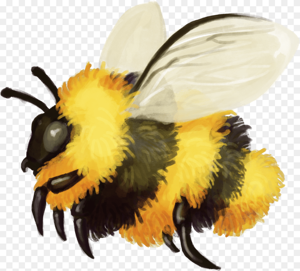 A Quick Fuzzy Bumblebee Friend Bumblebee, Animal, Apidae, Bee, Insect Png Image