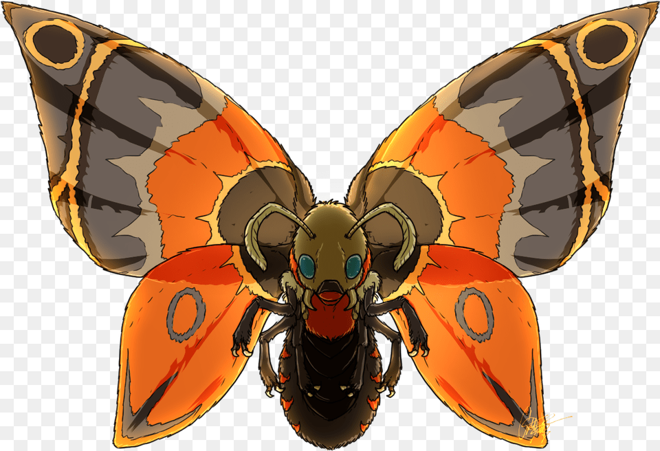 A Quick Mothron To 39celebrate39 Tomorrow39s Eclipse Terraria Mothron In Real Life, Animal, Bee, Wasp, Invertebrate Free Png Download