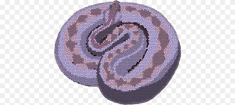 A Rattlesnake Is A Type Of Viper Called A Pit Viper Circle, Pattern, Tile, Home Decor, Art Png Image