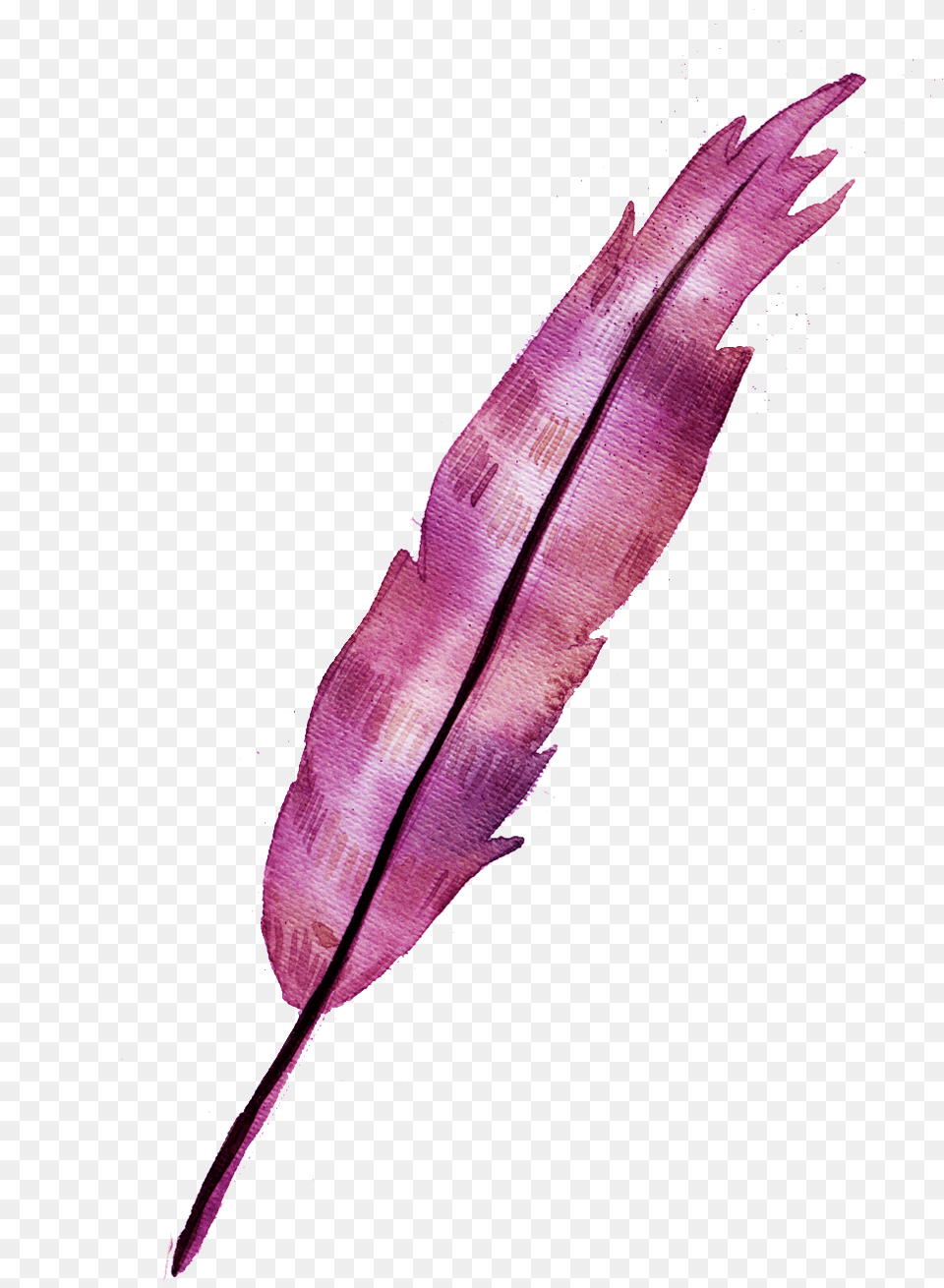 A Red Feather Element Watercolor Painting, Purple, Bottle, Leaf, Plant Png Image