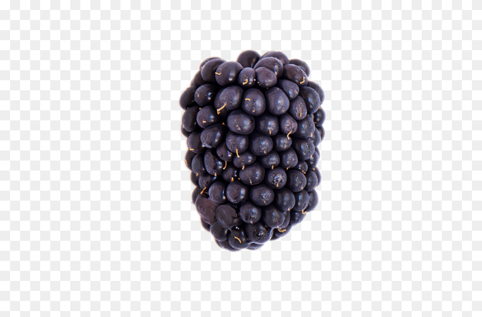 A Ripe Blackberry Blackberry, Berry, Food, Fruit, Plant Free Png
