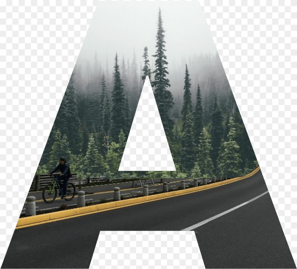A Road Camino Bosque Forest Letter Letra Evergreens In The Wild, Person, Triangle, Bicycle, Vehicle Png Image