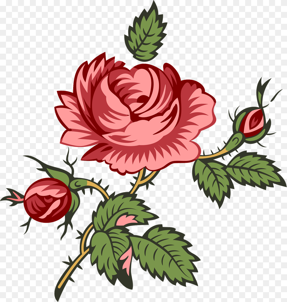 A Rose Bloom With Two Buds Clipart, Art, Flower, Graphics, Pattern Png