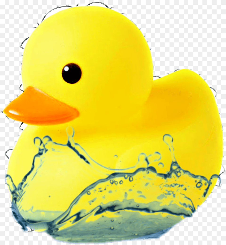 A Rubber Duckie Is Very Essential High Resolution Water Drops, Animal, Bird, Duck Free Transparent Png