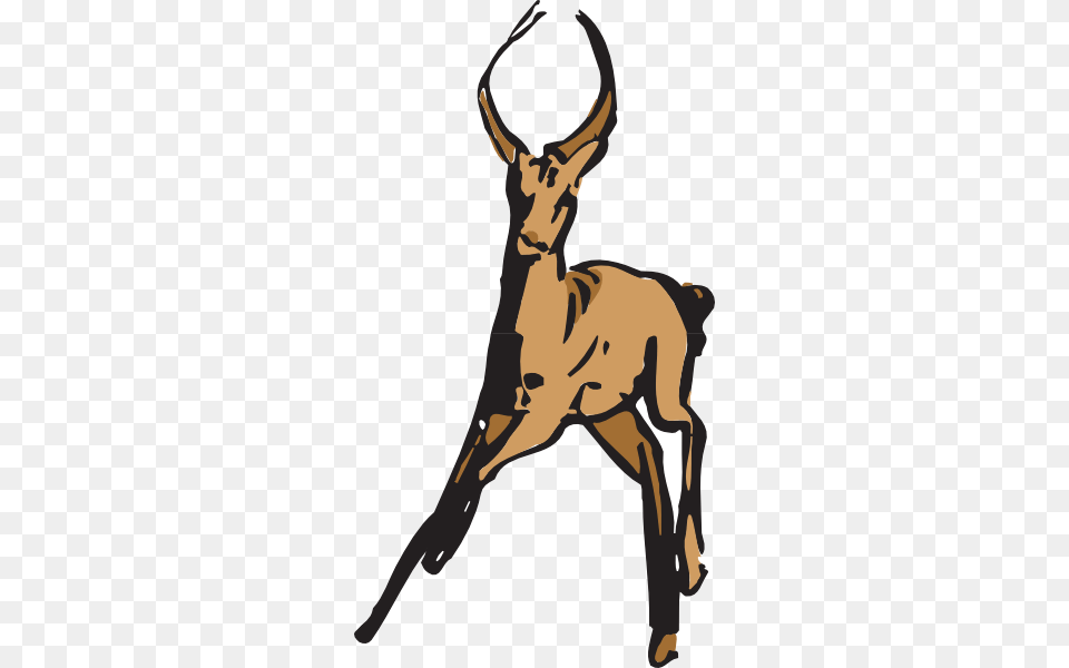 A Running Deer Vector, Animal, Antelope, Wildlife, Mammal Free Transparent Png