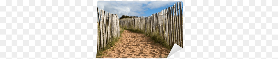 A Sandy Path In Dunes With Wooden Fence Wall Mural Boardwalk, Nature, Outdoors, Yard Free Png