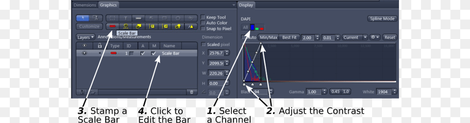 A Scale Bar On The Image By Clicking The 39scale Bar39 Zeiss Zen Scale Bar, Computer Hardware, Electronics, Hardware, Monitor Free Transparent Png