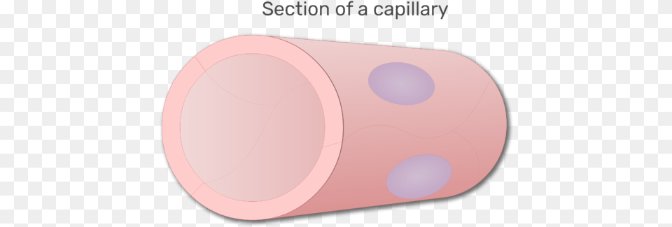 A Section Of Capillary Circle, Cylinder, Hot Tub, Tub Free Transparent Png