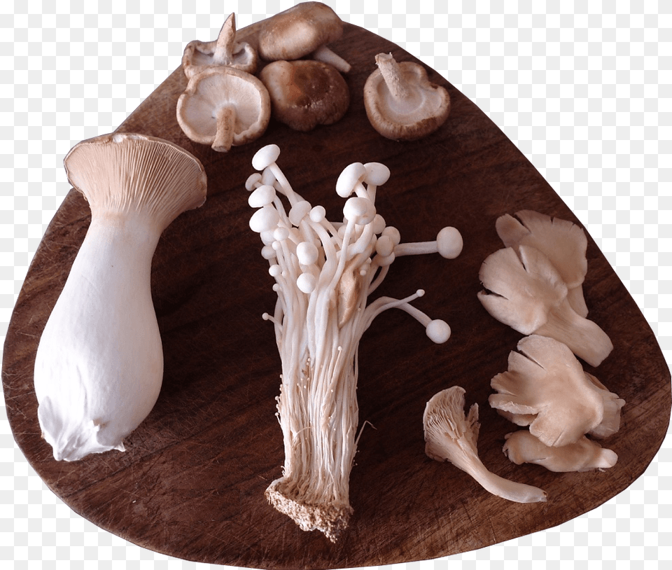 A Selection Of Sainsbury39s Exotic Mushrooms Presented Wood, Fungus, Plant, Mushroom, Agaric Png Image