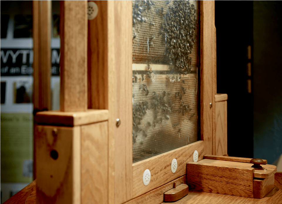 A Side View Of Our Hive Showing Where The Bees Are Beehive, Hardwood, Indoors, Interior Design, Plywood Png