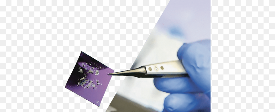 A Slide Holding Some Of The Wonder Material Graphene Business, Brush, Device, Tool, Blade Free Png