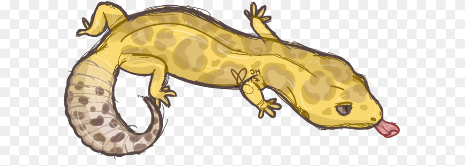 A Small Chance I Might Be Getting A Leopard Leopard Gecko Doodle, Animal, Wildlife, Amphibian, Salamander Free Png Download