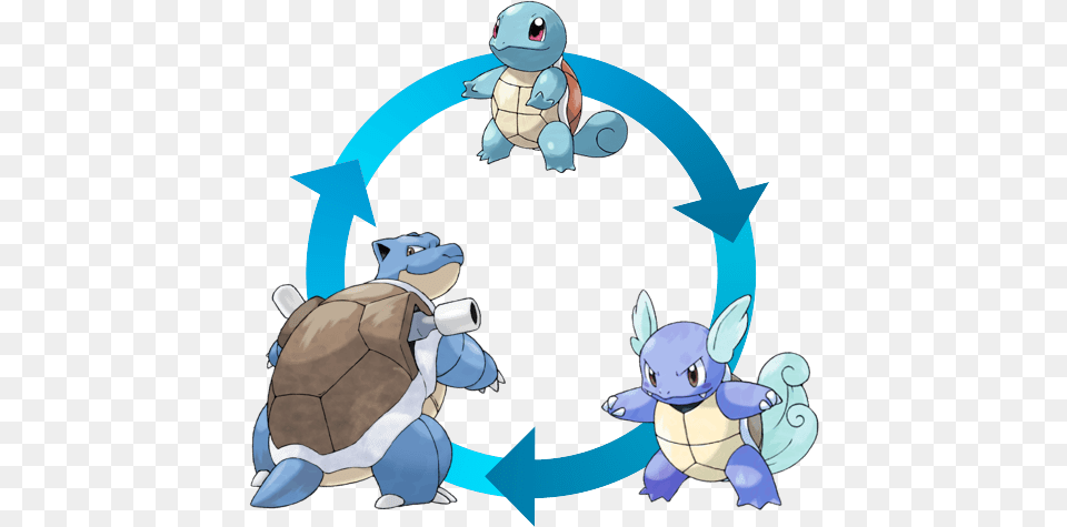 A Squirtle Becomes A Wartortle A Wartortle Becomes Pokemon Go Squirtle Evolutions, Animal, Baby, Person, Reptile Free Png Download