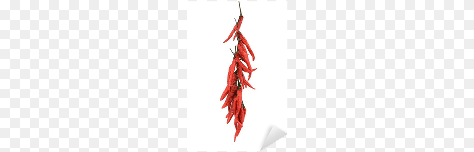 A String Of Dried Red Hot Chili Peppers Isolated On Bird39s Eye Chili, Food, Pepper, Plant, Produce Png Image