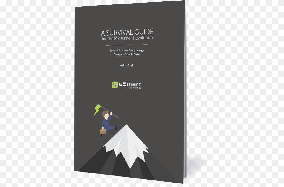 A Survival Guide Cover Graphic Design, Advertisement, Poster, Book, Publication Free Png Download