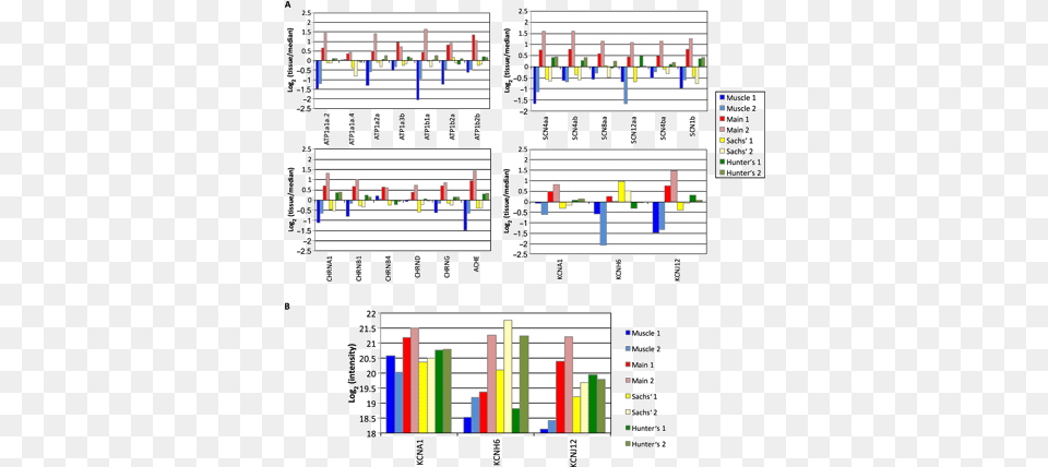 A Tail Of Two Voltages Proteomic Comparison The Three Vertical, Scoreboard Free Transparent Png