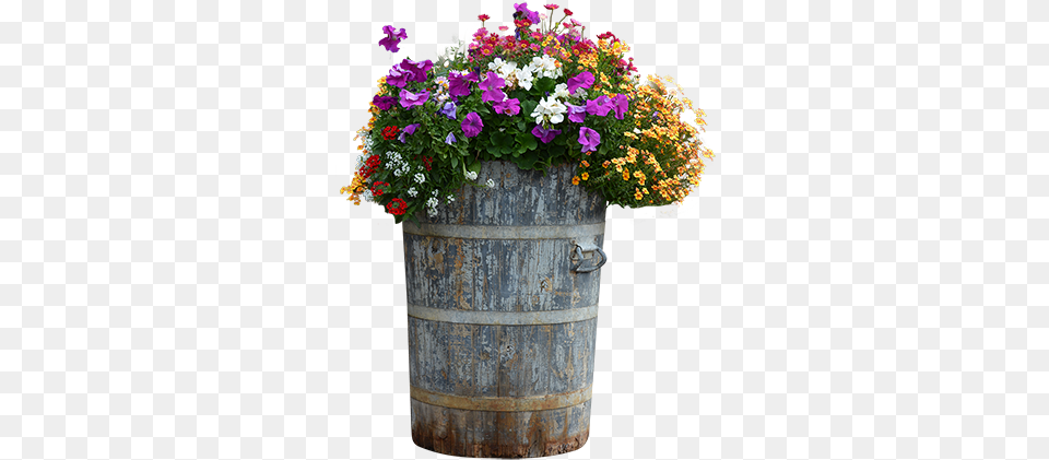 A Tall Wood Barrel Planter Filled With Wooden Flower Pot, Flower Arrangement, Flower Bouquet, Geranium, Plant Free Transparent Png