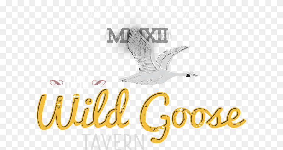 A Tavern Built For Good Times Seabird, Animal, Bird, Goose, Waterfowl Png