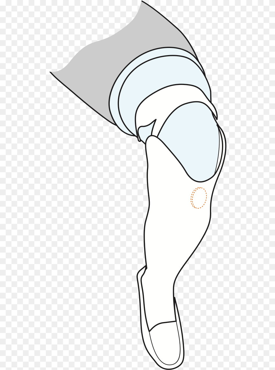 A Technical Drawing Of Cindy39s Lower Leg With A Circle Sketch, Clothing, Hat, Art Free Transparent Png