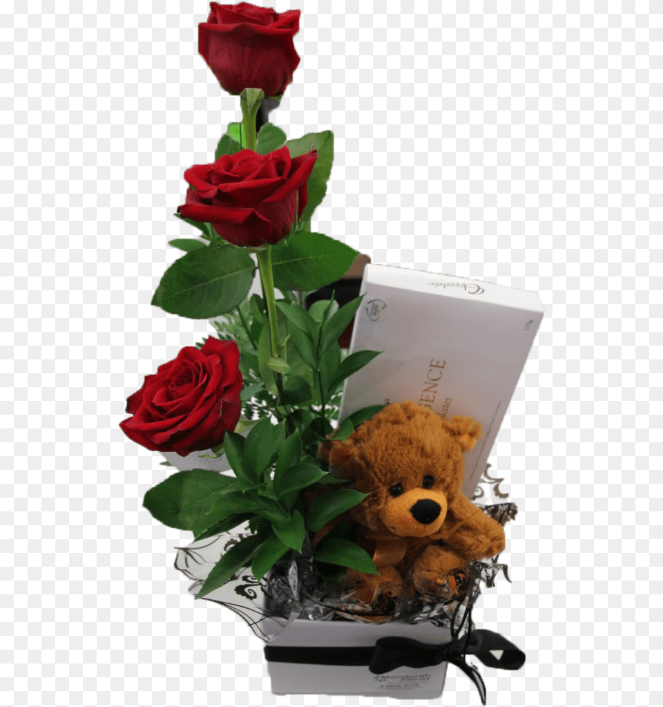 A Teddy And I Love You Garden Roses, Flower, Plant, Rose, Flower Arrangement Free Png Download