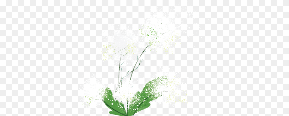 A Thing Of Beauty Fireworks, Leaf, Plant, Flower, Person Free Png Download