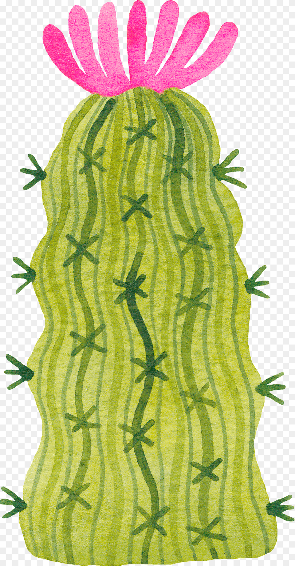 A Thorny Cactus Transparent Portable Network Graphics, Home Decor, Rug, Plant Free Png