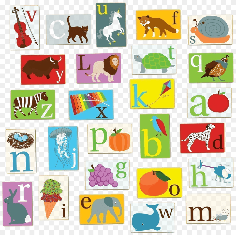 A To Z Alphabets Image Z Alphabets, Art, Collage, Animal, Mammal Free Transparent Png