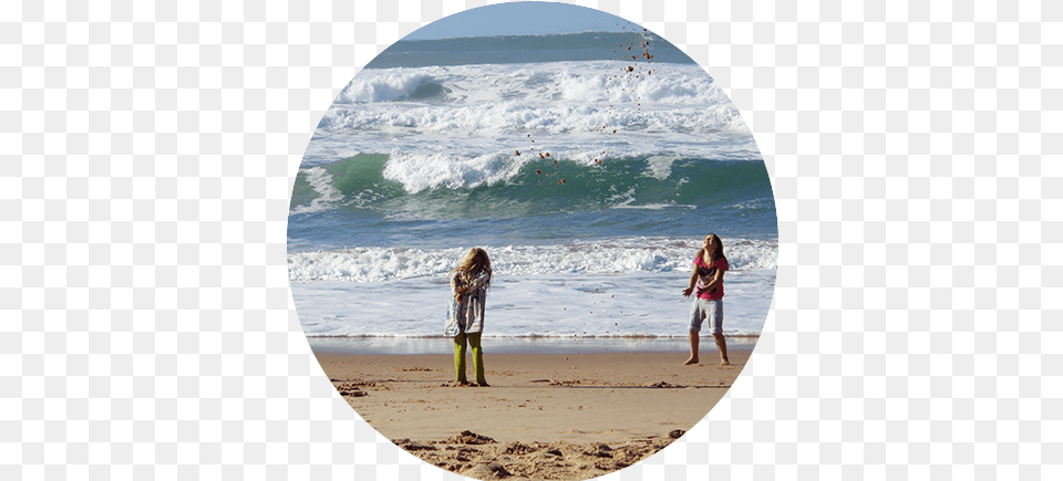A Treasure Of Nature 14 Sea, Beach, Shoreline, Sea Waves, Photography Free Png Download