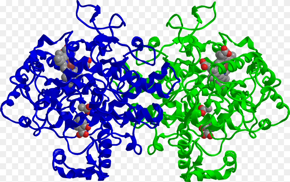 A Tree Bark Suspension And Nobel Prize Lateru2026 We Wonder Cox 2, Chandelier, Lamp, Pattern Png Image