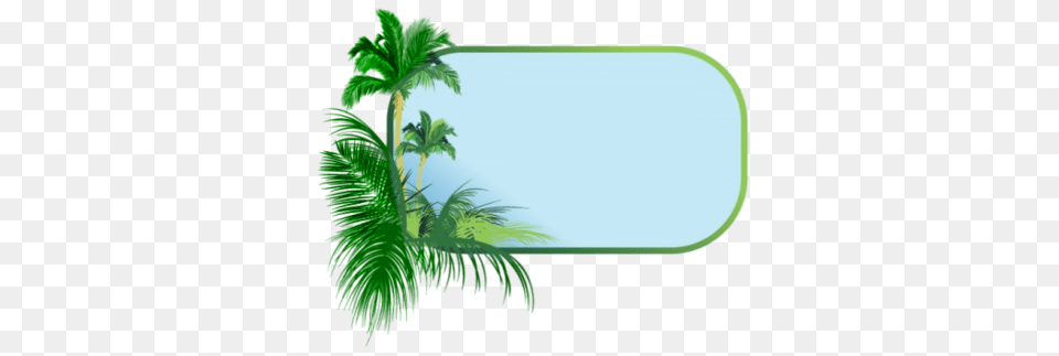 A Tree Border, Palm Tree, Leaf, Green, Vegetation Free Transparent Png